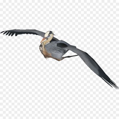 Heron-Free-PNG.png