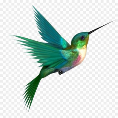 Hummingbird-PNG-Free-File-Download.png