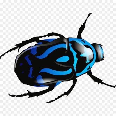 Insect-Free-PNG-YRKPXHDK.png PNG Images Icons and Vector Files - pngsource