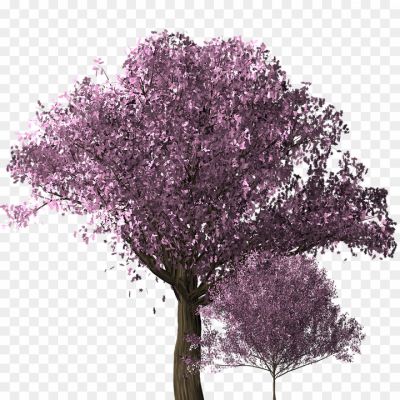 Japanese-Flowers-On-Tree-Download-Free-PNG-Y1PDQZHN.png