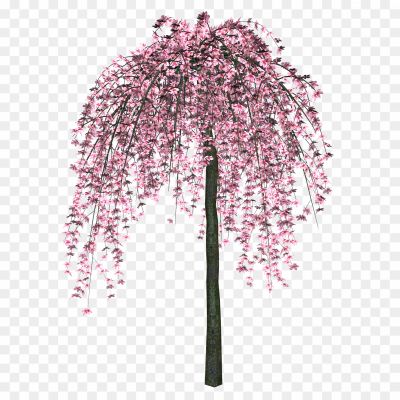 Japanese-Flowers-On-Tree-Transparent-File-KQVLLF08.png