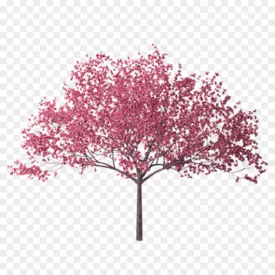 Japanese-Tree-Background-PNG-Image-YMK1C4OO.png