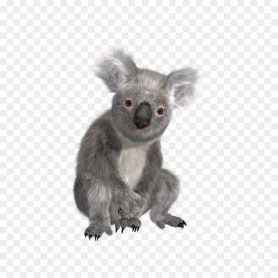 Koala-Hd-PNG-Free-File-Download-FVH4QISE.png