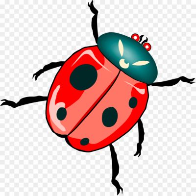 Ladybug, Ladybird Beetle, Insect, Small, Round Shape, Brightly Colored, Red Or Orange With Black Spots, Beneficial Insect, Garden Predator, Aphid Eater, Natural Pest Control, Biological Control Agent, Ladybug Species