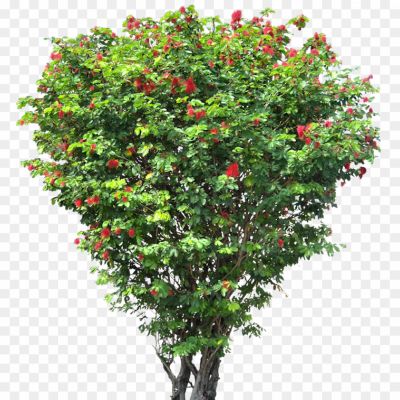 Landscaping-Tree-PNG-File-LJEBFIAL.png