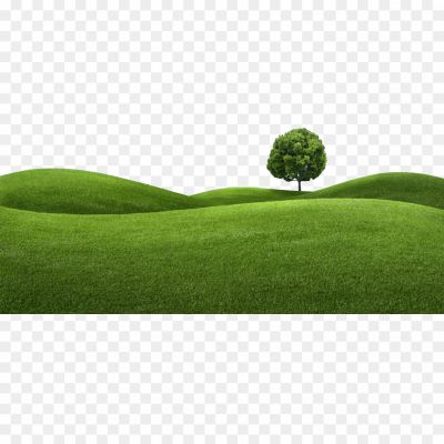 Grass, Field, Khet, Ghassm, Grass, Lawn, Meadow, Turf, Green, Blades, Field, Vegetation, Lawnmower, Garden, Landscape, Nature.