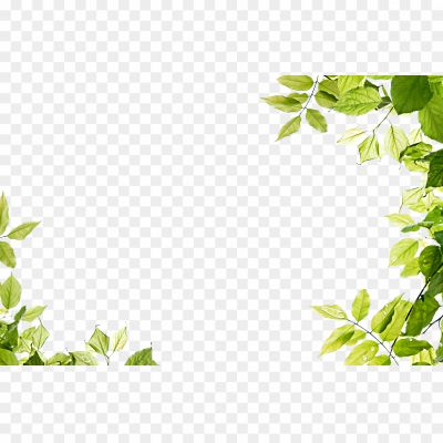 Leaf-Frame-Transparent-PNG-Pngsource-ZIB860LT.png