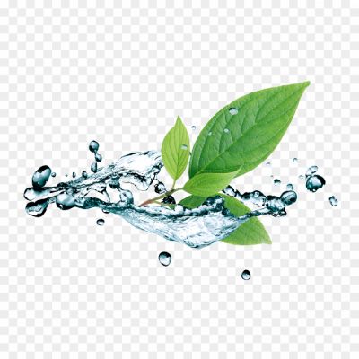 Leaf-Water-Drop-PNG-Picture-Pngsource-7Z6BQE6A.png