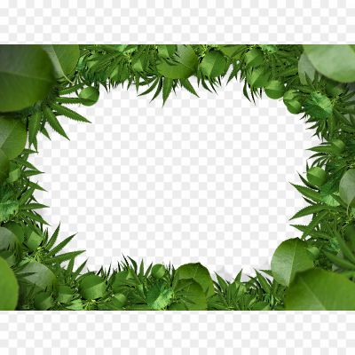 Leaf Corner Frame, Foliage Border, Leafy Corner Decoration, Leaf Frame Design, Botanical Corner Border, Leafy Corner Ornament, Corner Leafy Wreath, Leafy Corner Pattern, Greenery Corner Frame, Leafy Border Design, Leaf Corner Vector, Leafy Frame Border, Leaf Corner Illustration, Botanical Corner Element, Leafy Corner Shape, Corner Leafy Background, Leafy Corner Art, Nature Corner Frame, Leafy Corner Frame PNG.