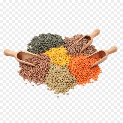 Lentil-PNG-File-UB6L8SM5.png