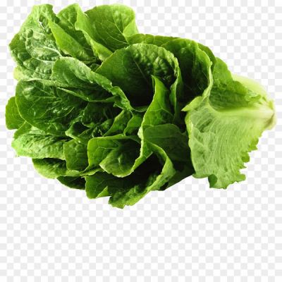 Lettuce, Leafy Greens, Salad, Fresh Lettuce, Green Lettuce, Crispy Lettuce, Lettuce Leaves, Lettuce Head, Romaine Lettuce, Iceberg Lettuce, Butter Lettuce, Loose-leaf Lettuce