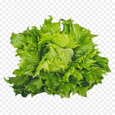 Lettuce-PNG-Transparent-9UY18BKD.png