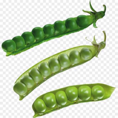 Lima-Beans-PNG-GGCE5BFQ.png