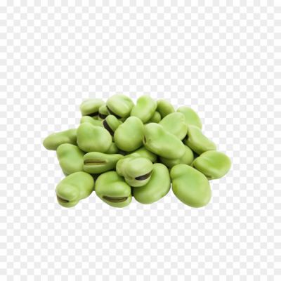 Lima Beans, Legumes, Beans, Vegetables, Green Beans, Butter Beans, Flat Beans, Nutritious, Protein-rich, Fiber-rich, Starchy, Cream-colored Beans