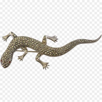 Lizard Transparent Background GAOOR5LU - Pngsource