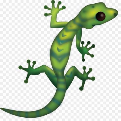 Lizard, Reptile, Scaly, Cold-blooded, Four-legged, Tail, Scales, Diverse Species, Gecko, Iguana, Chameleon, Monitor Lizard, Skink, Lizard Habitat, Lizard Behavior, Lizard Diet, Lizard Reproduction, Lizard Adaptations, Lizard Classification, Lizard Symbolism.