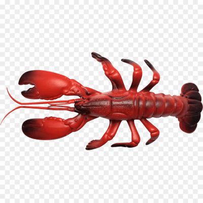Lobster-PNG-Background-Clip-Art-P6JGA38L.png