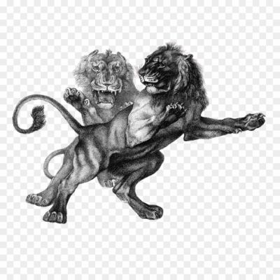 Loin Fighting Png Image Png - Pngsource