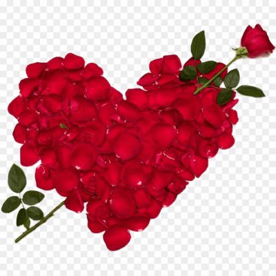 Love-Valentines-Day-Rose-PNG-Clipart-Pngsource-905D9LAK.png