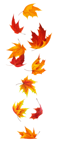 Maple-Leaf-Falling-Free-PNG-Pngsource-FS013ZDJ.png
