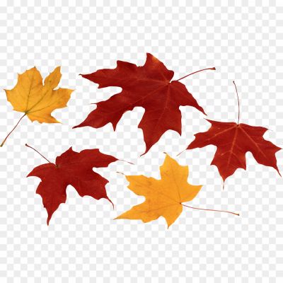 Maple-Leaf-Falling-Transparent-Free-PNG-Pngsource-L2ZJ1JLR.png