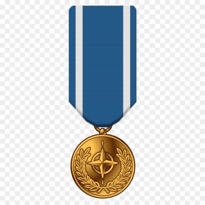 Medal Of Honor, Purple Heart, Silver Star, Bronze Star, Distinguished Service Cross, Air Force Cross, Navy Cross, Army Commendation Medal, Navy Achievement Medal, Meritorious Service Medal, Legion Of Merit, Presidential Unit Citation, Combat Action Ribbon