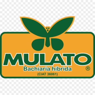 Mulato-Logo-Pngsource-KIBE58HX.png