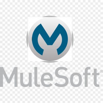 Mulesoft-Logo-Pngsource-32JQYQBR.png