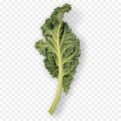 Mustard-Greens-PNG-Isolated-Pic-MIMIDHC0.png