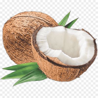 Cocoanut, Coconut Water, Edible Nut, Copra Oil, Coconut Palm, Coconut Tree, Coconut Milk, Coco