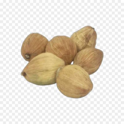 Cocoanut, Coconut Water, Edible Nut, Copra Oil, Coconut Palm, Coconut Tree, Coconut Milk, Coco