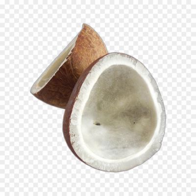 Nariyal, Coconut, Tropical Fruit, Coconut Tree, Coconut Water, Coconut Milk, Coconut Oil, Coconut Shell, Coconut Husk, Coconut Meat