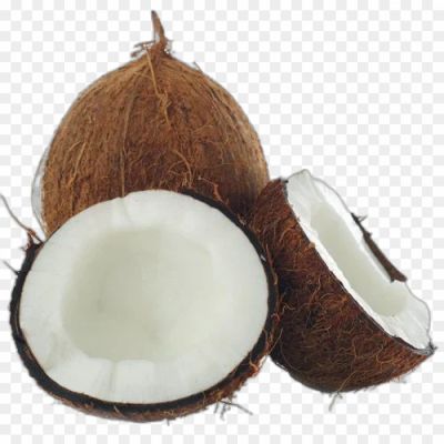 Nariyal, Coconut, Tropical Fruit, Coconut Tree, Coconut Water, Coconut Milk, Coconut Oil, Coconut Shell, Coconut Husk, Coconut Meat