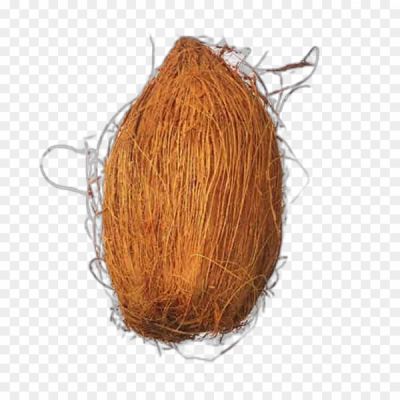 Nariyal (Coconut), Tropical Fruit, Coconut Water, Coconut Milk, Coconut Oil, Versatile Ingredient, Nutritious, Culinary Uses, Coconut Shell, Coconut Tree