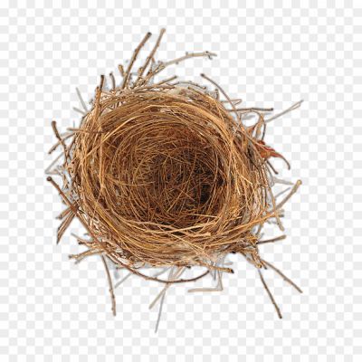 Nest No Backgorund PNG Image - Pngsource
