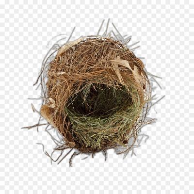 Nest No Background Isolated Image PNG - Pngsource