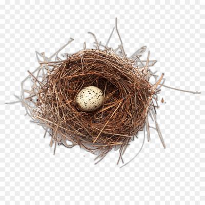 Nest No Background Isolated Transparent PNG - Pngsource
