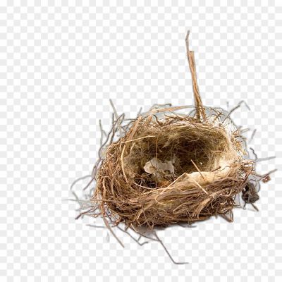 Nest Transparent PNG Isolated - Pngsource