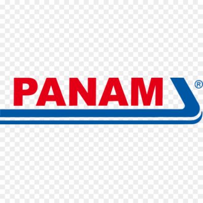 Panam-Logo-Pngsource-DKP22VJM.png