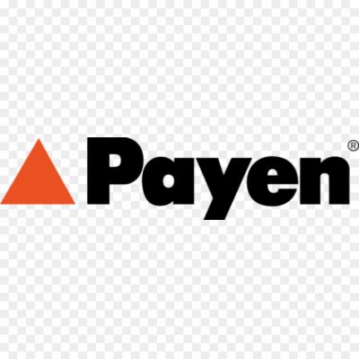 Payen-by-FederalMogul-Motorparts-Logo-420x97-Pngsource-287IXH4F.png