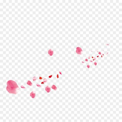 Petal-PNG-Isolated-File-DV58CINF.png