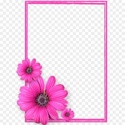 Pink-Flower-Frame-PNG-Photos8-Pngsource-3NA2QW2Z.png