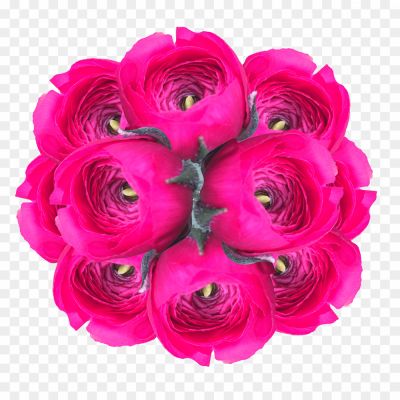 Pink-Flower-Transparent-Image-LPQZ65B4.png
