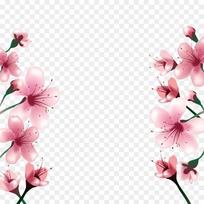 Flowers, Cherry blossom, Magnolia, Pink petals, Renewal, Rebirth, Growth, New beginnings, Freshness, Delicacy, Fragility, Gracefulness, Femininity, Romance, Love, Beauty, Serenity, Calmness, Tranquility