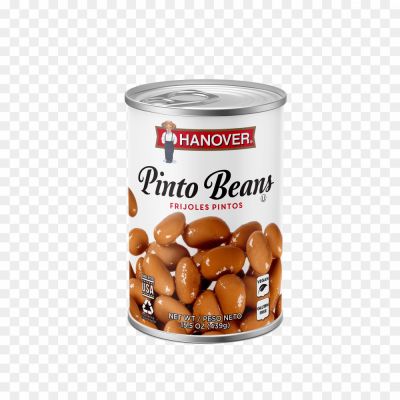 Pinto-Beans-PNG-Photos-356WGSMV.png