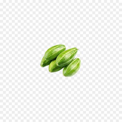 Pointed-Gourd-PNG-HD-Isolated-LFO5QKNP.png