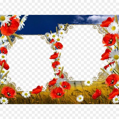 Poppy-Flower-Frame-PNG-File-Pngsource-DRQXIP34.png