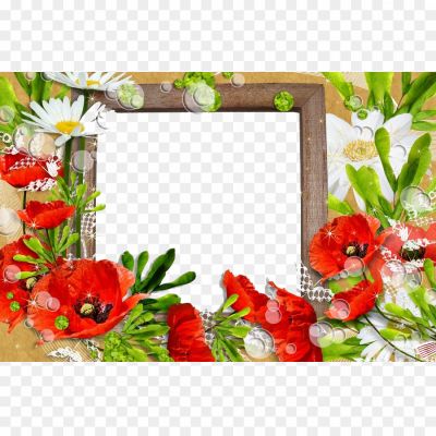 Poppy-Flower-Frame-PNG-Photos-Pngsource-LW8MHFGW.png