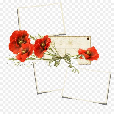 Poppy-Flower-Frame-PNG-Transparent-Pngsource-AP48UFBE.png