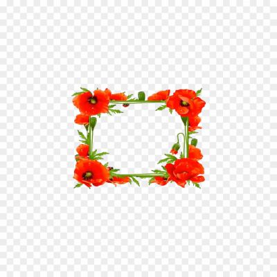 Poppy-Flower-Frame-Transparent-PNG-Pngsource-N379784W.png PNG Images Icons and Vector Files - pngsource